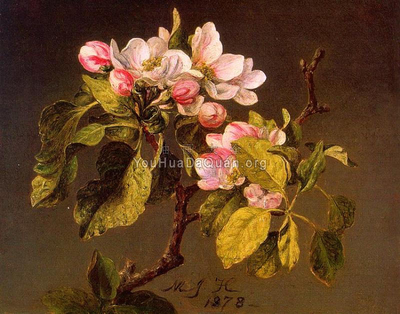 Apple Blossoms - 马丁·约翰逊·赫德